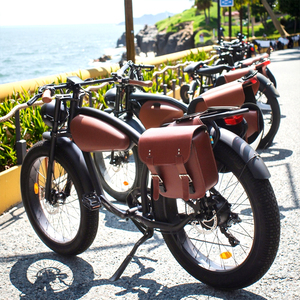 Vélo électrique de <span class=keywords><strong>montagne</strong></span> à pneus gras de 26 pouces, 750W-1000W, grande puissance, café racer, cruiser, vélo de neige - Product Image 1