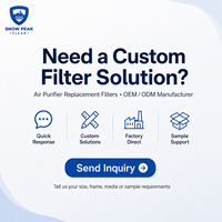 Filter Udara HEPA H13 H14 Kustom dengan Sarang Lebah Karbon Aktif Komposit, Filter Pengganti Pembersih Udara untuk Penggunaan di Rumah