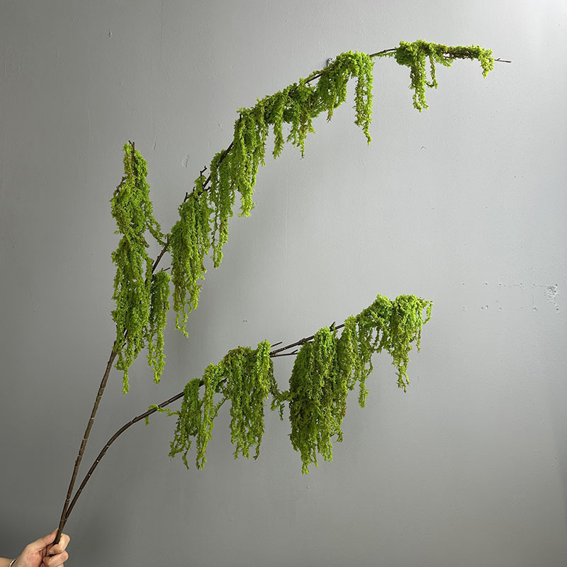 Mos grande branche unique vert