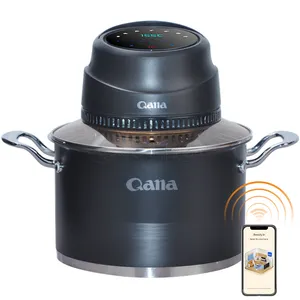 QANA工場卸売OEMスマート炊飯器Wifi APPミニエアフライヤー蓋付き圧力変圧器家庭用フードプロセッサー用
