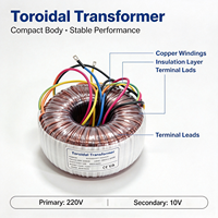 Transformateur toroïdal audio 500W 1000W avec isolation anti-bruit pour amplificateurs Hi-Fi et équipements industriels