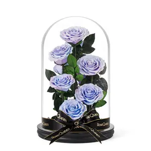 Preserved Gradient Roses 13 inches glass Handmade Preserved Real Rose in Glass Dome for Christmas Day