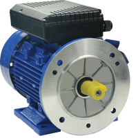 Moteur asynchrone monophasé 4 pôles LF 2,2 CV ML100L1-4 B35 115/120V 50/60Hz, boîtier en aluminium, montage par bride, efficacité IE1/IE2