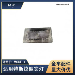 Tesla Model Y <b>Door</b> Courtesy <b>Light</b> 1007151-70-E Plastic Interior Lighting Part - Product Image 5