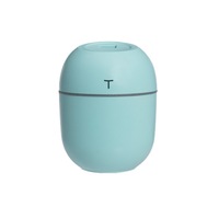 Vente en gros Offre Spéciale maison Mini humidificateurs à batterie portables Spray Mist Aroma Diffuseur d'huiles essentielles humidificateur d'air usb Popular