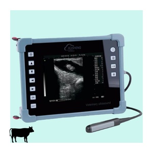 Appareil d'échographie portable RUISHENG C8 avec sonde rectale standard pour les opérations sur le terrain en extérieur - Product Image 1