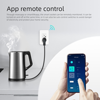 Prise murale intelligente WiFi Tuya, norme américaine, 2 prises, AC 240V, chargeur Type-C et USB, protection contre les surcharges, compatible avec Alexa/Google