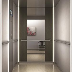 Ascensor de Pasajeros Moderno de Acero de 2, 3 y 4 Pisos, Elevador Hidráulico Seguro para Casa, Villa, Hotel y Uso Residencial - Product Image 6