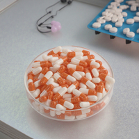 Capsules végétales transparentes en cellulose végétale naturelle HPMC végétaliennes, tailles 00, 0, 1, 2