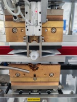 Machine automatique haute efficacité pour l'insertion et la scellage de sachets à bec verseur, moteur PLC 220V, haute précision