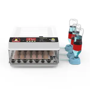 Verkauf neues Design mit hoher Bruchrate 48 Eierkapazität Mini-Hühnerei-Inkubator