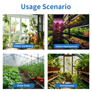 Regolatore di controllo <span class=keywords><strong>CO2</strong></span> per la vendita all'ingrosso di biossido di carbonio regolatore di <span class=keywords><strong>CO2</strong></span> per gli impianti di serra - Product Image 6