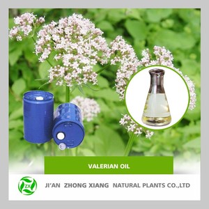 Nhà máy cung cấp 100% tinh khiết <span class=keywords><strong>valerian</strong></span> gốc dầu cho Y Tế cấp <span class=keywords><strong>valerian</strong></span> gốc tinh dầu <span class=keywords><strong>valerian</strong></span> axit 0.8% - Product Image 2