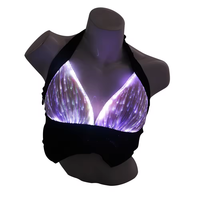Sous-vêtements de soutien-gorge à fibres optiques lumineuses pour femmes lumière LED Costume de danse du ventre arabe sexy pour les fêtes