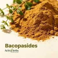 Extrait de Bacopa Monnieri en poudre à 50 % de bacopasides de haute pureté, ingrédient de supplément, fourni directement par l'usine