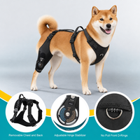 Genouillère pour chien à large bande de maintien sans SBR, avec doublure douce, pour luxation de la rotule, jambe arrière, post-opératoire, manchon articulaire pour animaux de compagnie, vente en gros