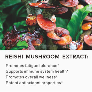 Extracto de Hongo Reishi Orgánico Natural OEM, Suplemento Dietético para Apoyar la Salud Inmunológica en Adultos, 60 Cápsulas - Product Image 3