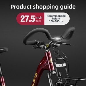 Bicicletta da Turismo a Lunga Distanza con Manubrio a Farfalla, Unisex, Professionale, a Velocità Variabile, Bici da Strada e Montagna in Lega di Alluminio - Product Image 2