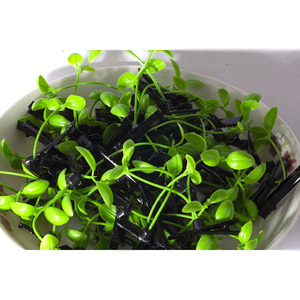 Pinza de pelo personalizada de 5cm para niños, horquilla con lazo a la moda, flequillo, pinza lateral, accesorios para el cabello de uso diario, regalo para niños - Product Image 2