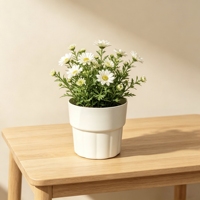 Pot de fleurs et de bonsaï en résine plastique, style nordique minimaliste, durable, écologique, moulé par injection, petit format pour la maison