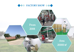 <span class=keywords><strong>Ganoderma</strong></span> <span class=keywords><strong>lucidum</strong></span> 추출물 10%-50% 영지 버섯 추출물 - Product Image 5