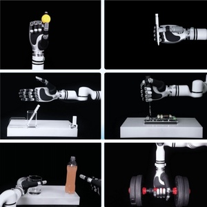 Mano Robótica Destra Inteligente de China, Efector Final de Robot, Mano de Robot Humanoide, Pinza Robótica de Cinco Dedos - Product Image 1