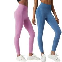 Pantalons de yoga solides, sport, sans couture, taille élastique, taille haute, grande taille, entraînement abdominal, fitness, équitation