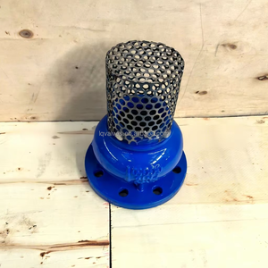 H42x डक्टाइल आयरन फ्लड फुट वाल्व, जर्मन मानक निर्यात-ग्रेड फुट वाल्व; चीन कारखाने में अनुकूलित ओएम फुट वाल्व; - Product Image 4