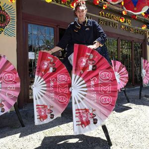 Ventilador Plegable de Mano de Plástico y Nailon Personalizado al por Mayor para Publicidad, Bodas y Manualidades - Product Image 2