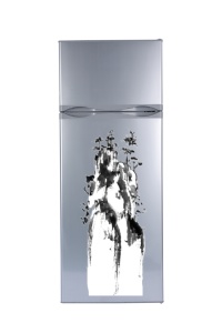 Réfrigérateur solaire <span class=keywords><strong>Juka</strong></span> BCD-218 à dégivrage manuel grande capacité, ODM OEM, pour la conservation des aliments frais - Product Image 3