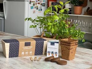 Kit de jardin d'intérieur herbe d'intérieur biologique Kit de démarrage de jardin plante de <span class=keywords><strong>basilic</strong></span> ensemble de semis Kit de jardin d'herbe - Product Image 3