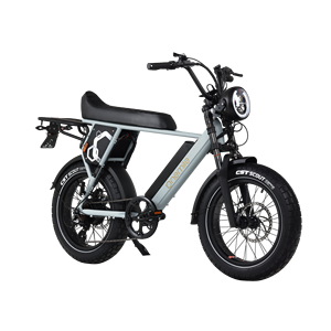 Bicicleta Eléctrica de Montaña de 850W 52V 19.2Ah con Neumáticos Gruesos de 20"x4.0, 75Nm de Torque, Frenos de Disco Hidráulicos, Alcance de 45-80KM - Product Image 1