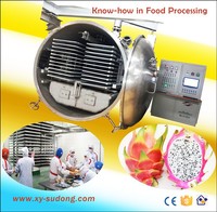 De Beste Xinyang 125m2 Vriesdrogende Fruitmachine