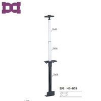 Poignée télescopique détachable personnalisable OEM, 3 sections, tube en aluminium 20''-30'', couleur personnalisée