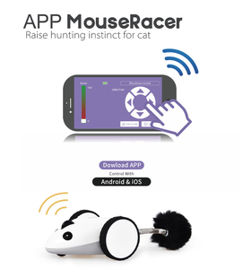 Trung Quốc Sản Xuất Mèo Điện Chuột Chuột Chuột Đồ Chơi Ứng Dụng Chuột Đua - Product Image 6