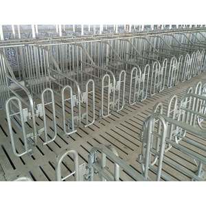 Stylo galvanisé de gestation de truie d'équipement d'élevage de porc d'immersion chaude pour des porcs - Product Image 4