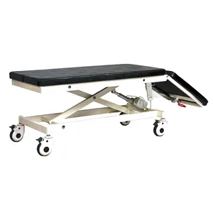 Hot Sale Hebei Factory Sprayed 2 Function Medical Electric Hospital Examination Bed Prices