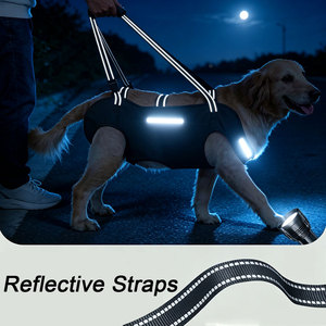 Harnais de levage réfléchissant pour chiens âgés, blessures articulaires, arthrite, aide à la marche, support réglable pour chiens - Product Image 4