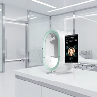 Analyseur de peau numérique 3D professionnel, miroir intelligent pour tester la peau, technologie de reconnaissance faciale automatique, analyseur de peau du visage
