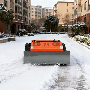 Tondeuse à gazon à démarrage rapide, <span class=keywords><strong>robot</strong></span> de <span class=keywords><strong>piscine</strong></span>, tondeuse à gazon commerciale autopropulsée, vente chaude - Product Image 2