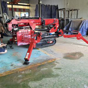 <span class=keywords><strong>P</strong></span>-800 zmt סין מיני קטנה זכוכית דיזל עכביש סריקה עגור 5 טון 3t 10 טון 12 טון עם סל אדם מרוחק וג 'יב - Product Image 3