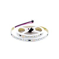 Bande LED SMD adressable RGBW + IC numérique 24V 12V RGB programmable CRI90