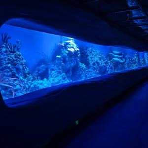 Aquariums à colonne rectangulaire à prix compétitif Aquariums Poissons Design moderne <span class=keywords><strong>Aquarium</strong></span> du monde océanique Réservoirs carrés - Product Image 3