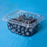 Boîte d'emballage de fraises en plastique transparent, écologique, ventilé, personnalisé, 250g 500g, fruits frais, récipient à clapet, poinçons rpet