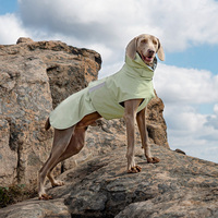 Veste pour chien imperméable, durable, écologique, en polyester, unie, pour l'été et le printemps, design moderne, bande réfléchissante