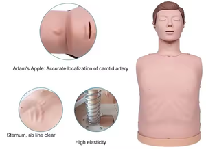 Modèle d'infirmière en PVC pour la formation en RCP semi-corps, adapté aux écoles de médecine et aux formations d'urgence hospitalières CE\ISO - Product Image 3