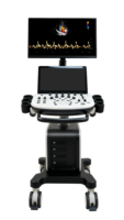 Système d'échographie Doppler couleur portable 3D 4D pour animaux de compagnie Dawei Veterinary à vendre