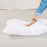 Oreillers de lit Queen Size 20x30 pour hôtel, inserts moelleux, alternative au duvet blanc, soutien doux pour le repos en chambre