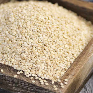 Semillas de sésamo blanco descascarilladas de alta pureza, granos brillantes y limpios para la fabricación de pasta de tahini - Product Image 1