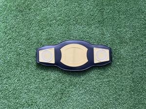 Custom Championship <strong>Belt</strong> Special Event Genuine Leather Metal Leather <strong>Wrestling</strong> Boxing Martial Arts Winner Championship <strong>Belts</strong> - Product Image 3